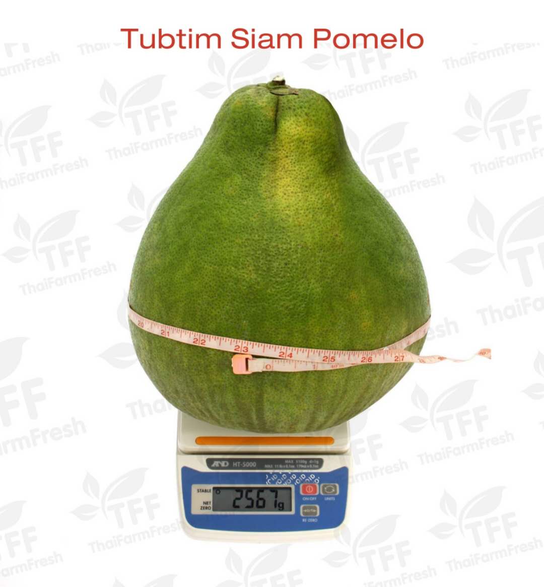 Fruit Trees Home Gardening Apple, Cherry, Pear, Plum Pomelo Fruit