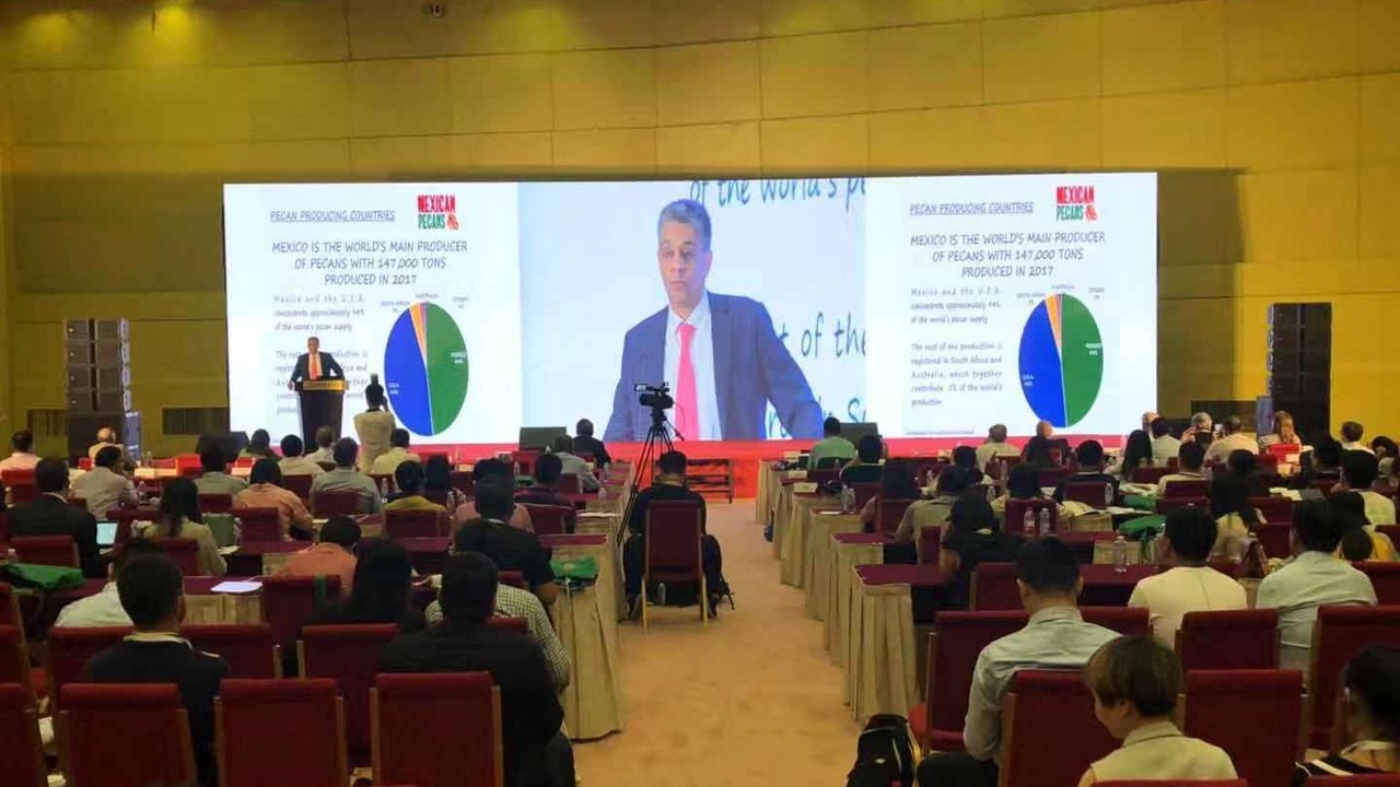 Carlos Aldeco presentation at China International Tree Nuts conference