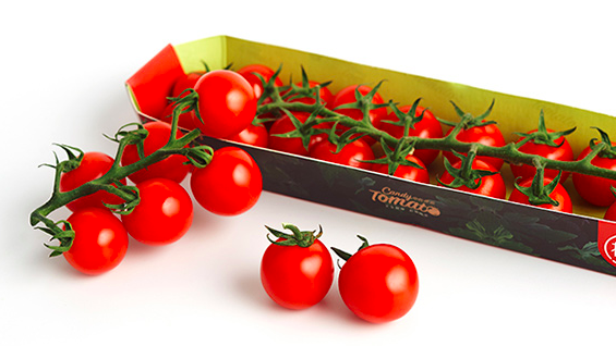 Zhichun Truss Tomatoes