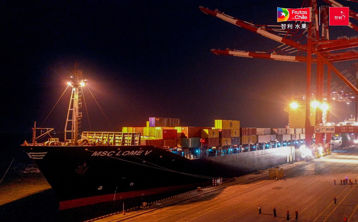 First Cherry Express of 2025/26 Season Arrives at Nansha Port, Video Series Details Key Tips for Cherry Preservation