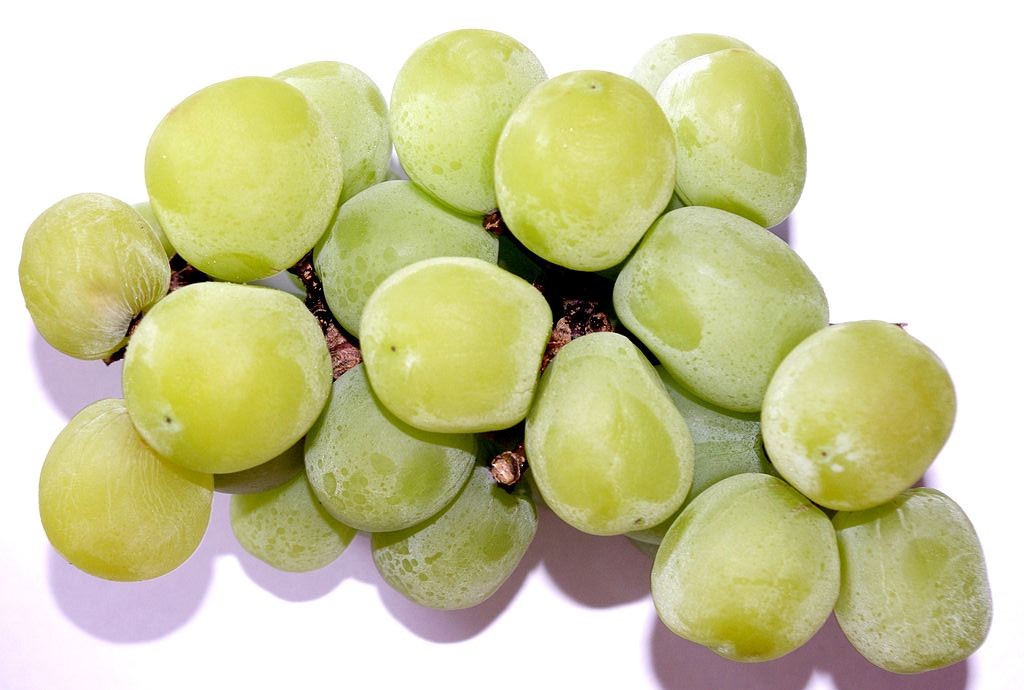 Shine Muscat Grapes Decline After Hot Start in China Market Produce