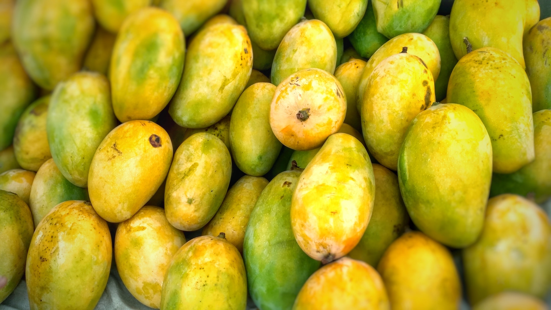 Pakistani Mango Exports to China May Increase This Summer | Produce Report