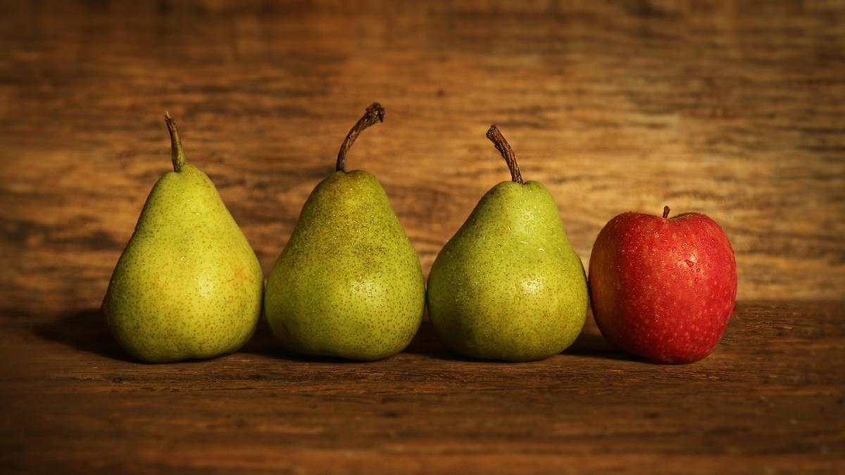 [Press Release] South African Pome Fruit Industry Heading Into Dynamic 2026 Season