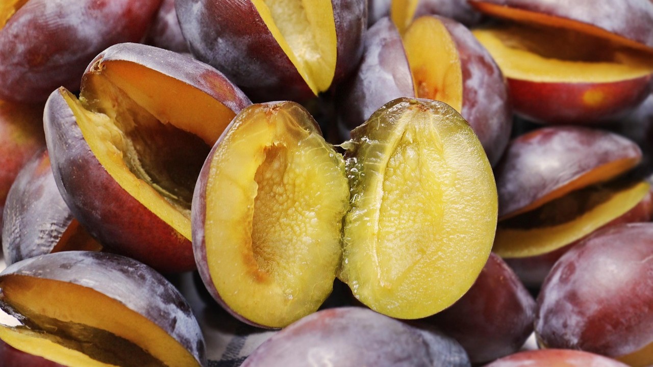 China Releases Phytosanitary Rules for Fresh South African Stone Fruit
