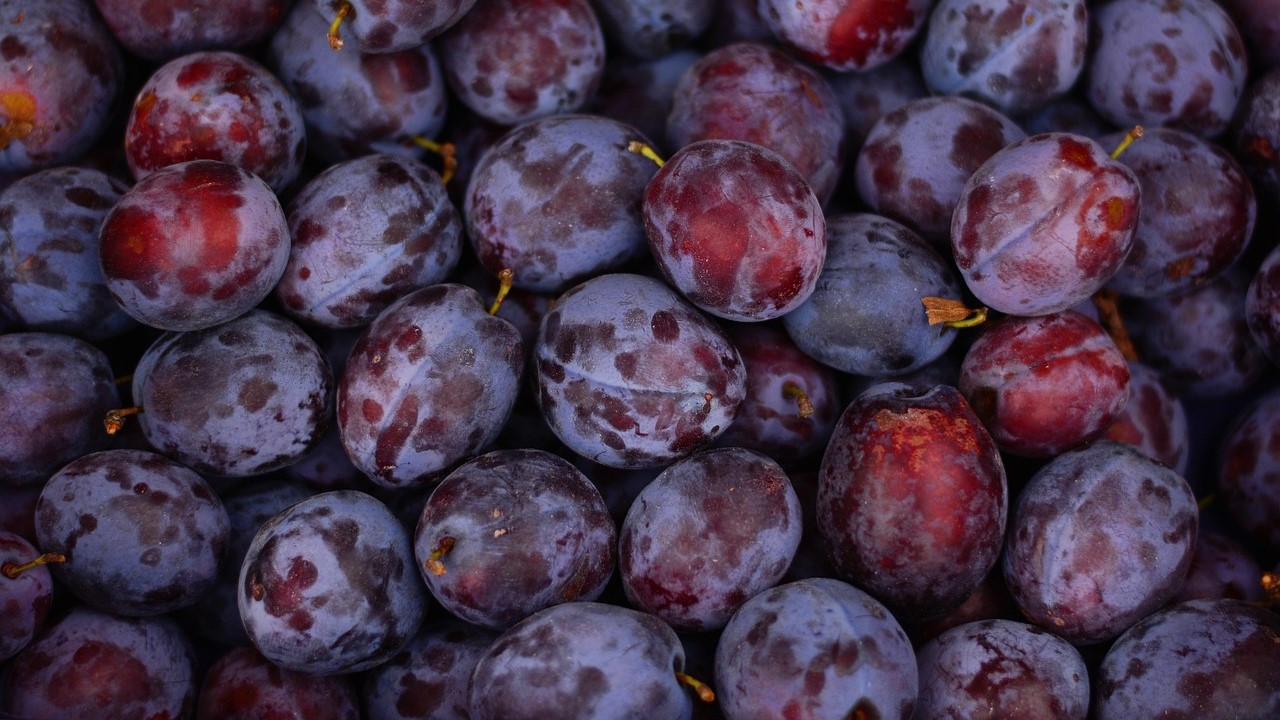 Chile espera una prometedora temporada de fruta de hueso