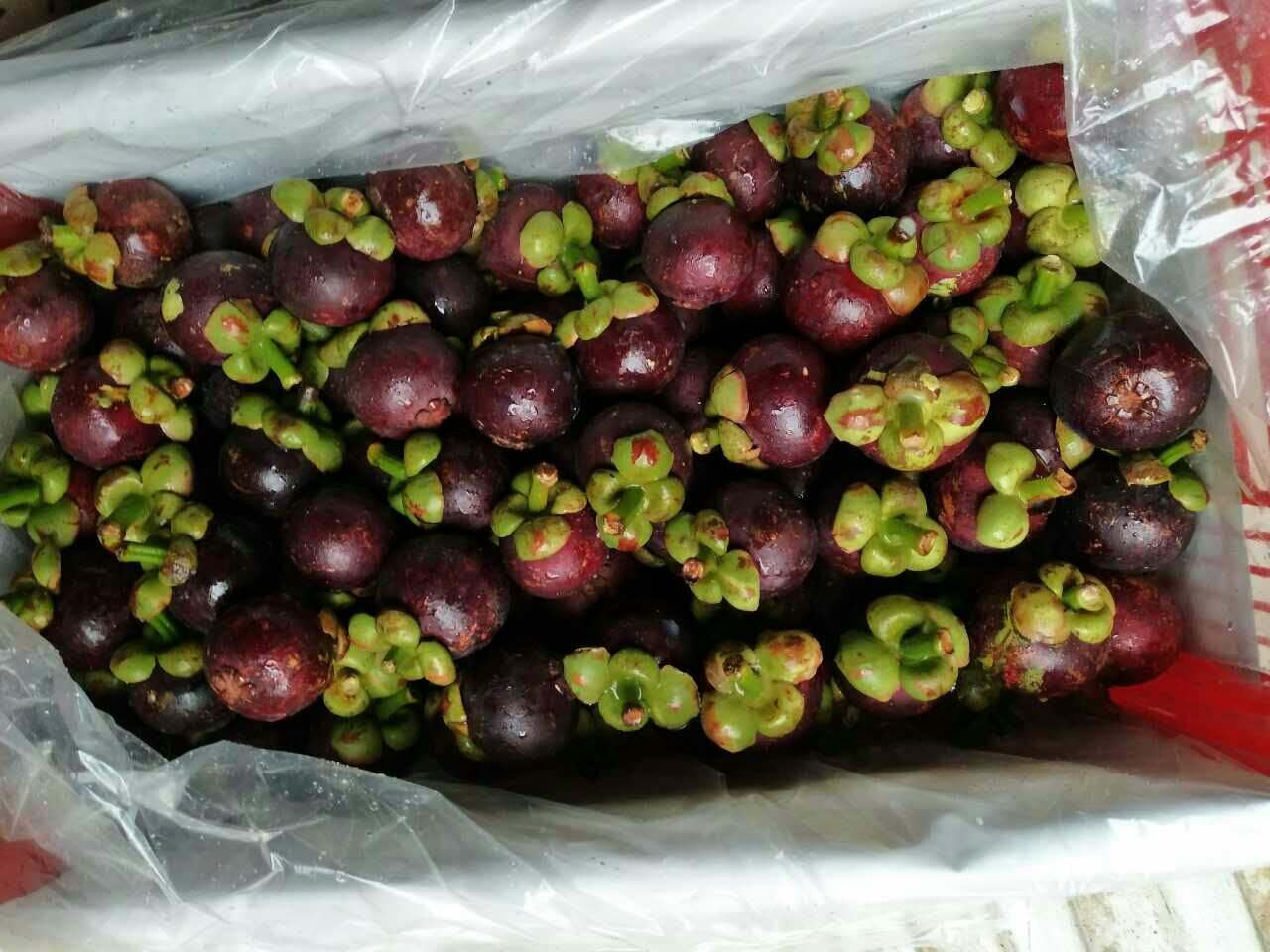Thailand Enjoys the Lion's Share of China's Mangosteen Market | Produce Report1280 x 960