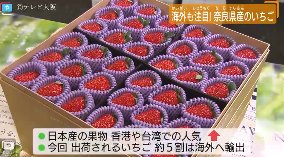 108 Strawberries Sell for 13,700 at Japanese Auction Produce Report