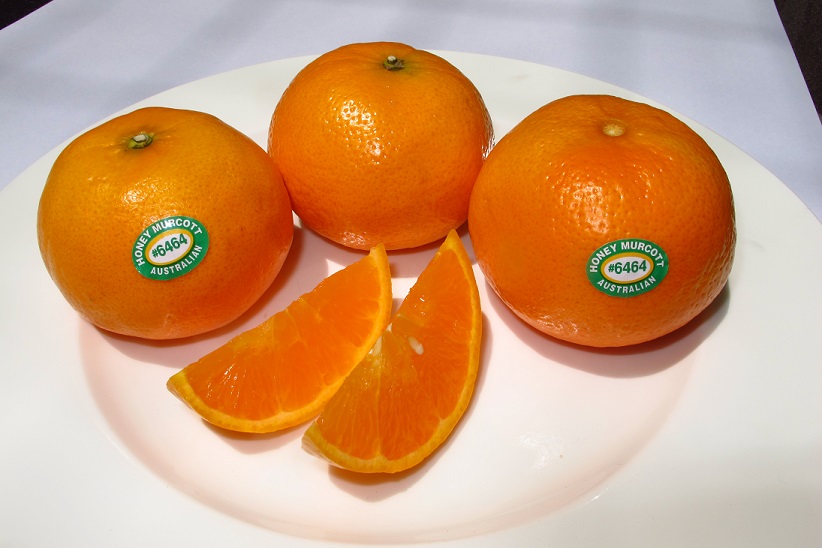 Aussie Mandarins in Season with Higher Volumes to China Expected