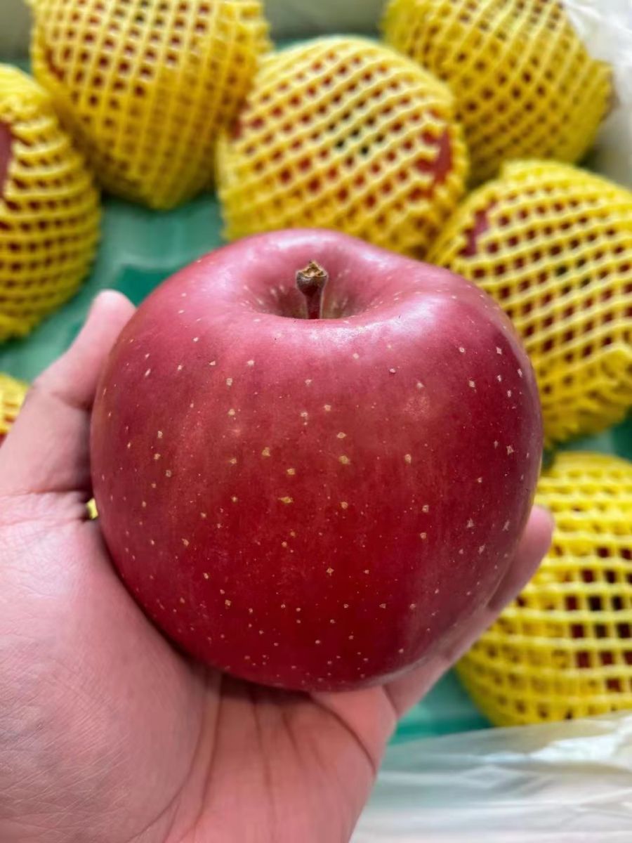 Japanese Sun Fuji Apples Selling for 60 Yuan Apiece in China