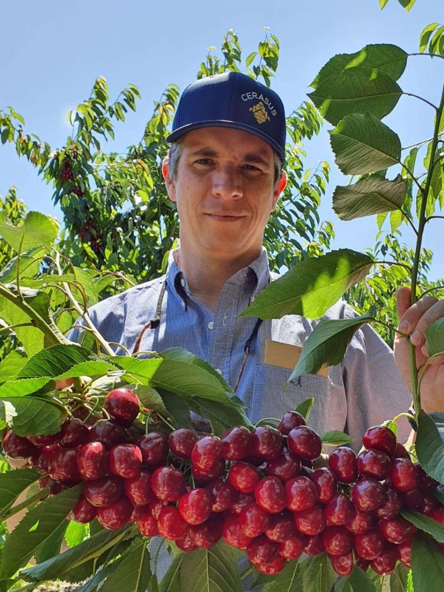 Giddings Cerasus General Manager, Ramon Arrau