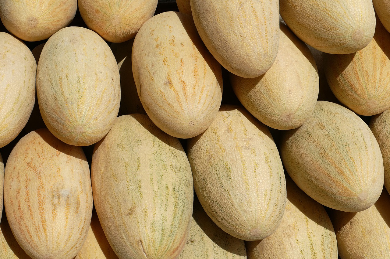 Uzbekistan Melon Pile