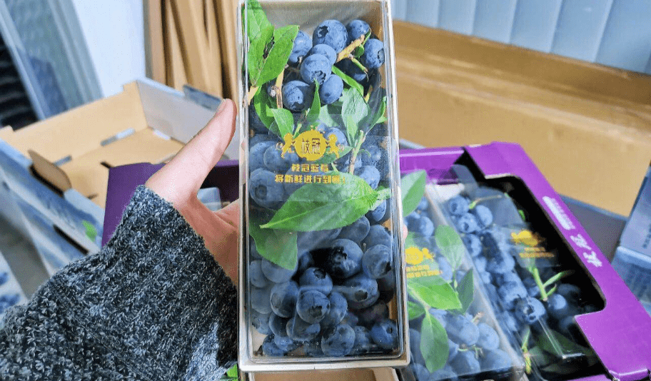 Blueberries sold by Pengsheng