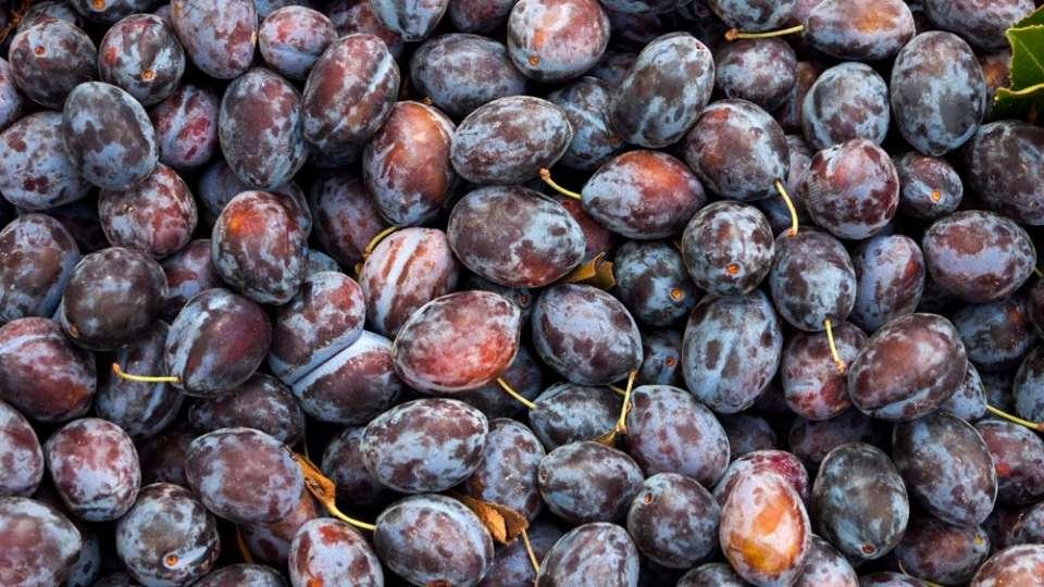 Chilean plums waiting to be sold