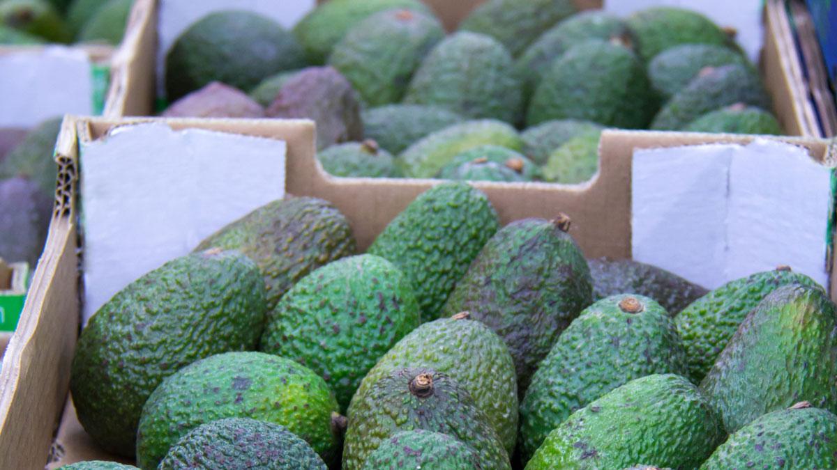 2017 Year in Review: China’s Avocado Market | China Fresh Fruit and