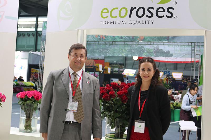 Ecuadorian Roses in China