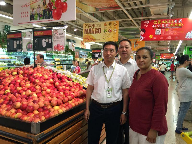 south african royal gala apples in china