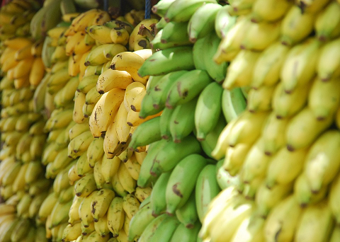 60 tons of imported Philippine bananas destroyed in Shanghai