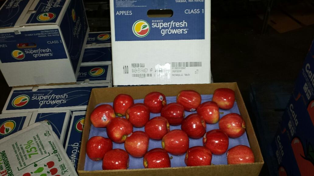 Washington Gala apples in new Mexican promotional campaign: It's