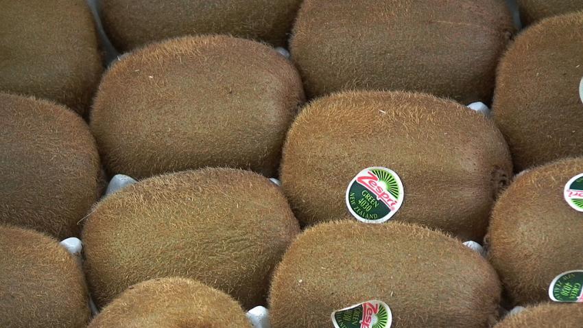 Zespri Temporarily Stops Shipping Kiwifruit to China