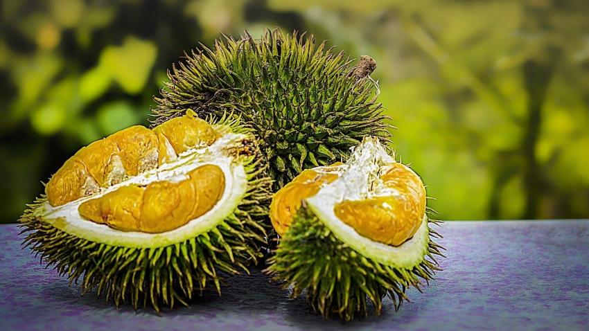 durian home delivery 