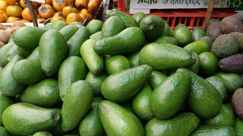 Avocados, mesh bag - Green Giant Fresh