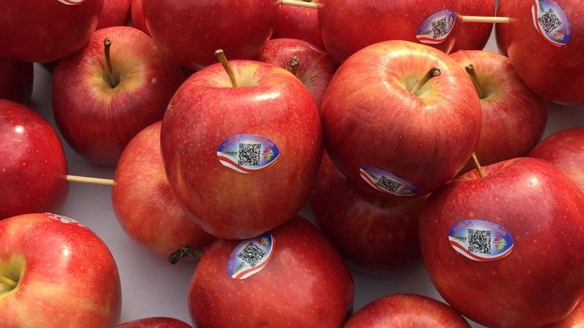 Alibaba Tmall Blue Star Traceability for Washington Apples