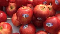 Alibaba Tmall Blue Star Traceability for Washington Apples