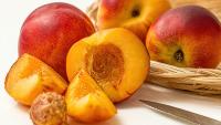 China now shipping nectarines to Australia