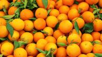 Oranges at the market in China