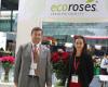 Ecuadorian Roses in China