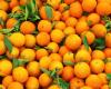 Oranges at the market in China